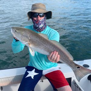 Meet your Posher, Don